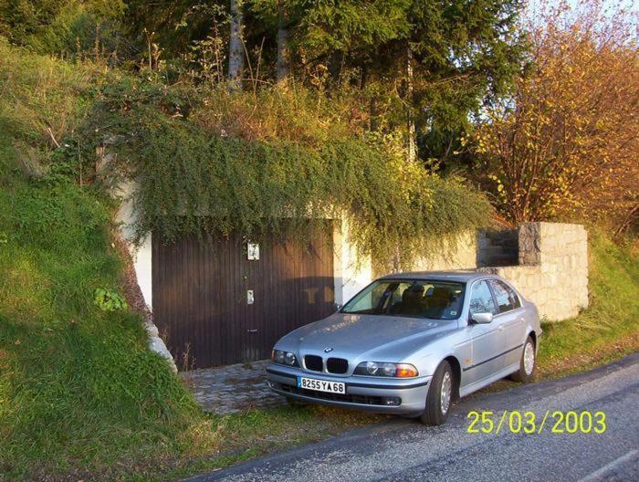 Chalet Contemporain Plein Nature Altenbach Exterior photo