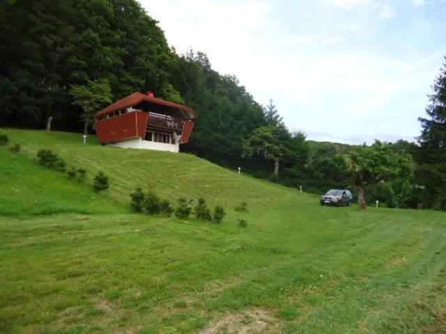 Chalet Contemporain Plein Nature Altenbach Exterior photo