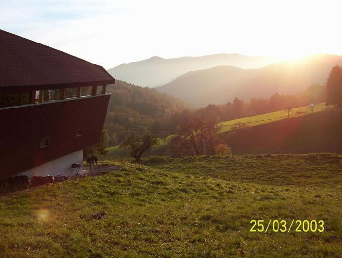 Chalet Contemporain Plein Nature Altenbach Exterior photo