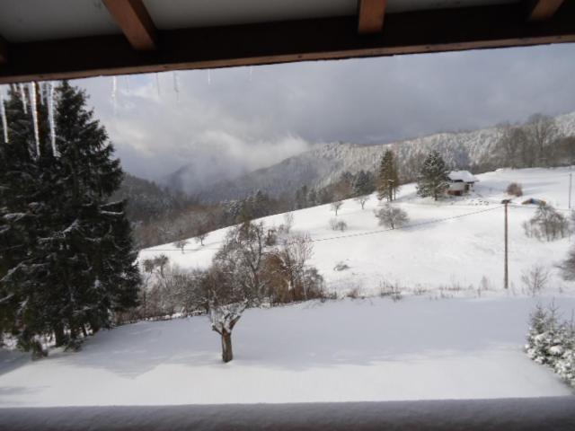 Chalet Contemporain Plein Nature Altenbach Exterior photo
